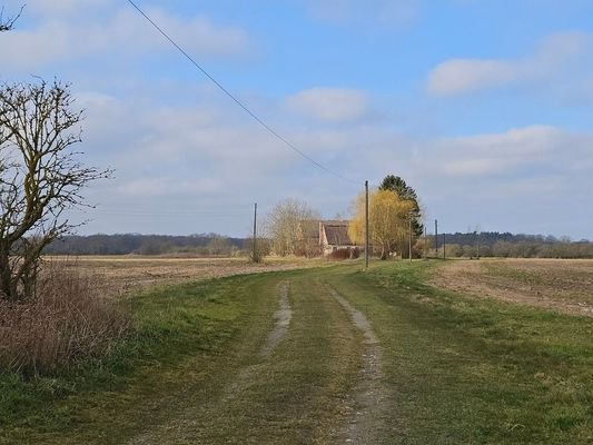Der Eigene Weg!.jpg