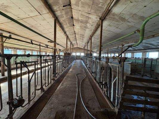 Halle/Stall I Hauptgebäude