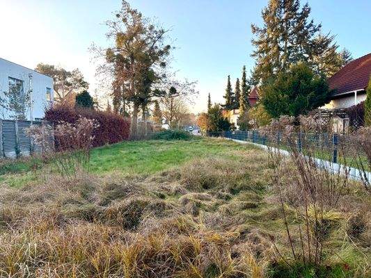 Platz für Ihr Traumhaus