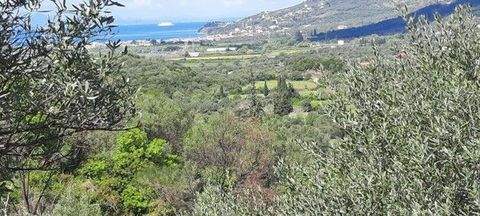 Plataria Grundstücke, Plataria Grundstück kaufen