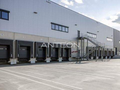 Greven Halle, Greven Hallenfläche