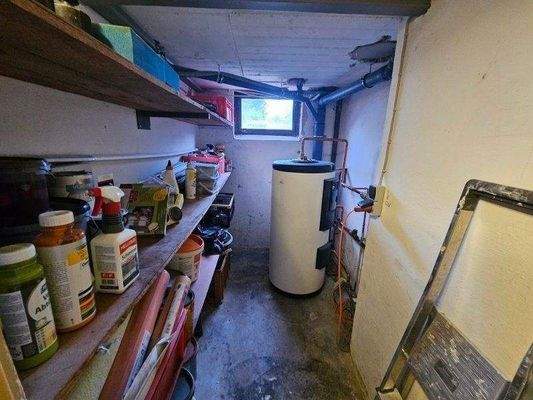 20250502_171737 (800x600).jpg