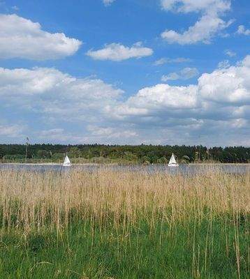 Seeufer vor dem Grundstück