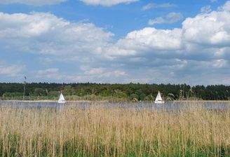 Seeufer vor dem Grundstück