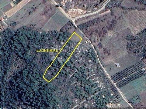 Vis Bauernhöfe, Landwirtschaft, Vis Forstwirtschaft