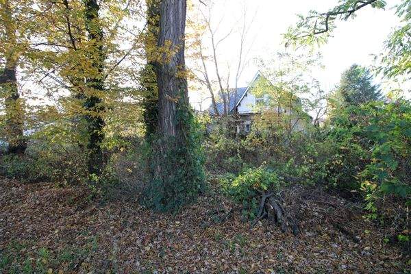 Seitlich vom Grundstück