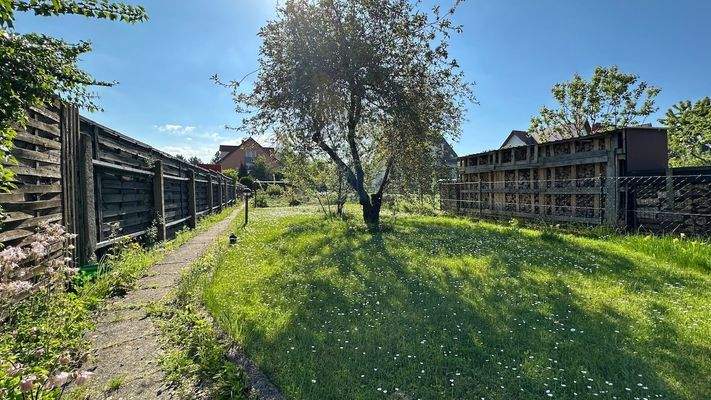 Blick in den Garten