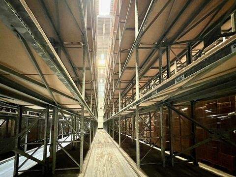 Reinbek Halle, Reinbek Hallenfläche