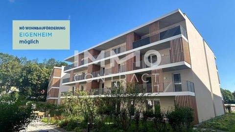 St.Pölten Wohnungen, St.Pölten Wohnung kaufen