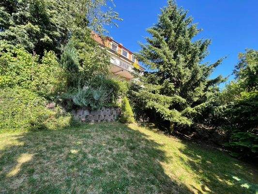 grosse Gartenfläche