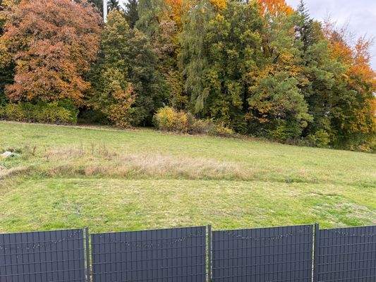 hinter dem Haus 1.JPEG