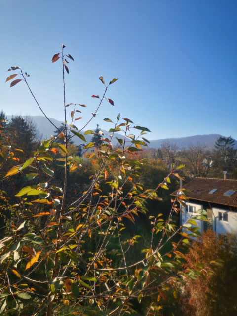 Neuffen Häuser, Neuffen Haus kaufen