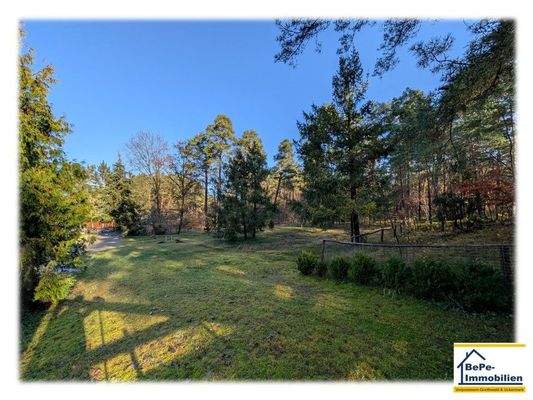 BePe_Immobilien_Vogelsang_Warsin_Altwarp_Bild_12.j