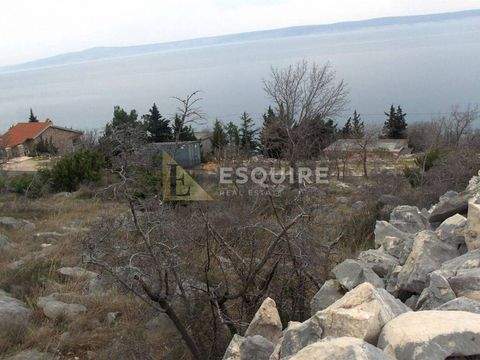 Starigrad Bauernhöfe, Landwirtschaft, Starigrad Forstwirtschaft