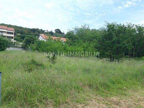 Rab Bauernhöfe, Landwirtschaft, Rab Forstwirtschaft