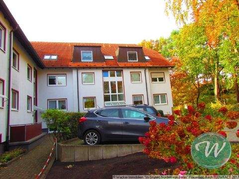 Oranienburg/ Lehnitz Wohnungen, Oranienburg/ Lehnitz Wohnung mieten