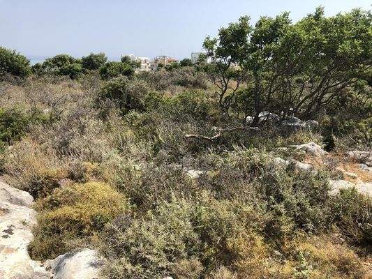 Kreta, Gerani: Erstklassiges Grundstück mit Meerblick nahe Rethymno zu verkaufen