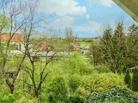 Blick aus Nebenflügel