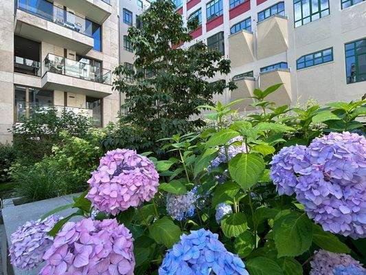 Idyllischer Innenhof