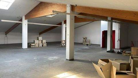 Neustadt bei Coburg Halle, Neustadt bei Coburg Hallenfläche