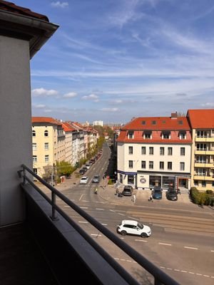 IMG_4355.jpeg