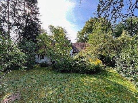 Rückersdorf Grundstücke, Rückersdorf Grundstück kaufen