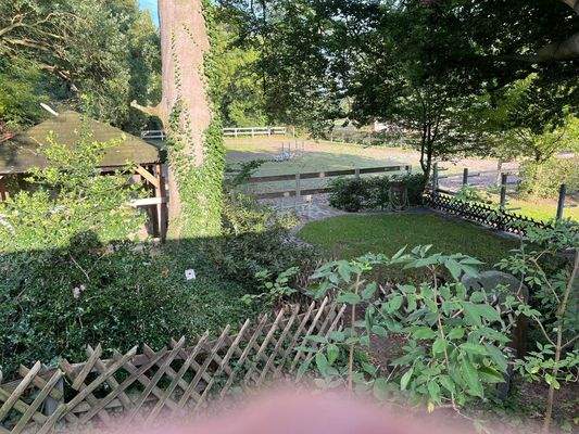 Blich auf den Außenreitplatz