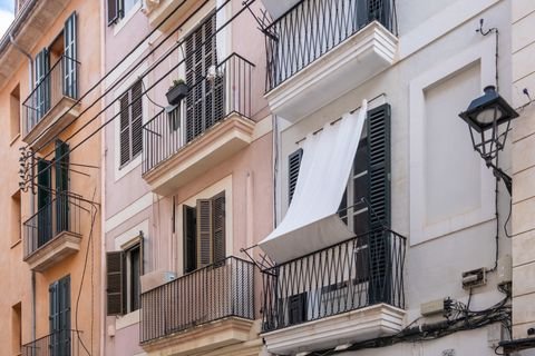 Palma De Mallorca Wohnungen, Palma De Mallorca Wohnung kaufen