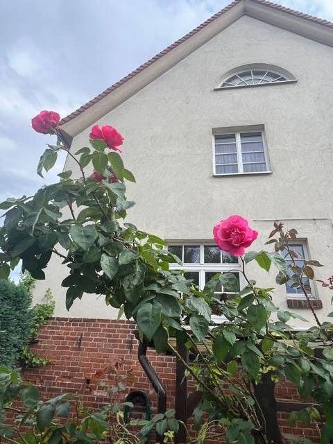Bitterfeld-Wolfen Häuser, Bitterfeld-Wolfen Haus kaufen