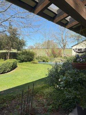 Terrasse mit Blick in den Garten