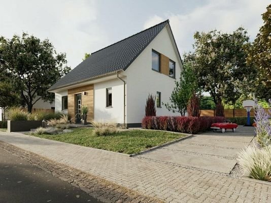 Einfamilienhaus Flair 110 Ansicht Eingang.jpg