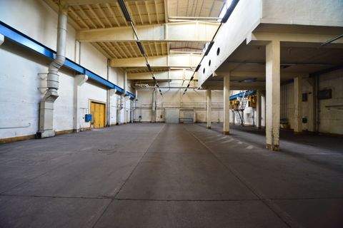 Chemnitz Halle, Chemnitz Hallenfläche