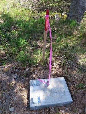 Cape Breton - Wunderschönes 10-Hektar-Areal inmitt