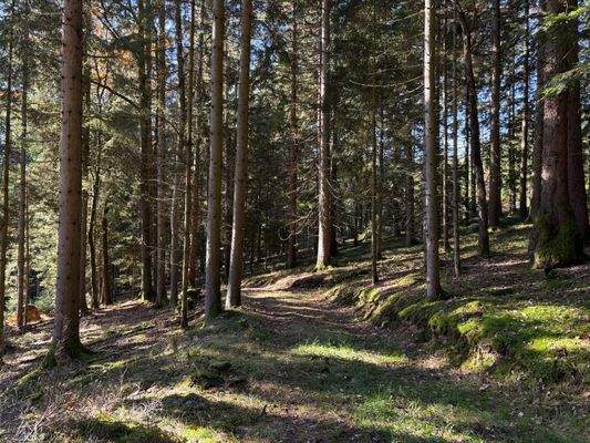 2025-11-05 13.11.38.jpg