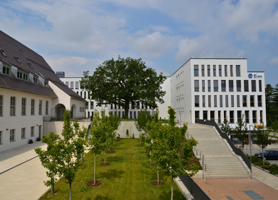 Nibelungen Terrassen - Alt- und Neubau.png