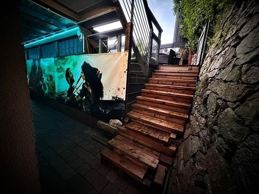 Bild 22