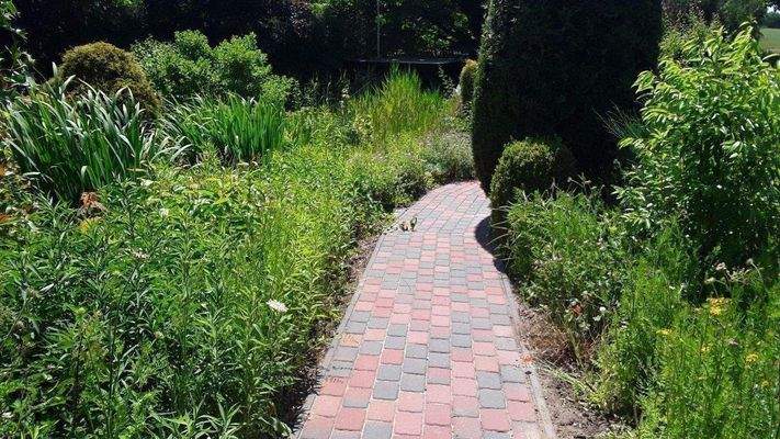 neuwertige Gehwege zum Flanieren im eigenen Park