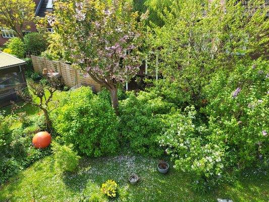 Blick in den Garten