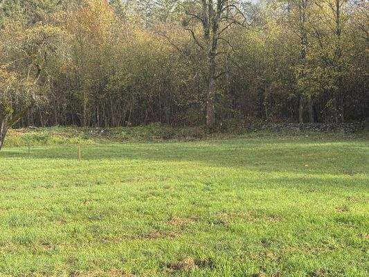 Baugrundfläche auf 2 Fotos