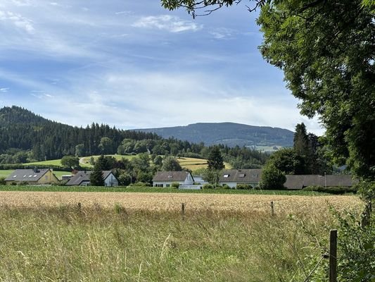 Blick nach Süden 