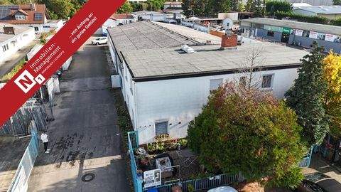 Neustadt an der Weinstraße Halle, Neustadt an der Weinstraße Hallenfläche