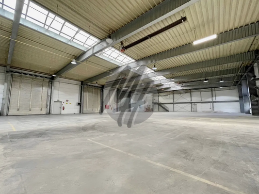 INFOS UNTER: 06171-586000