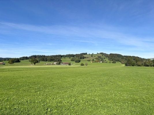 Natur pur und Weite direkt hinter dem Haus