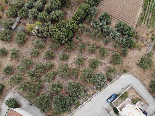 Kreta, Almyrida: Grundstück in Strandnähe mit Meerblick zu verkaufen