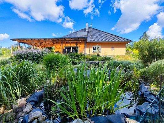 Südhang und Gartenteich