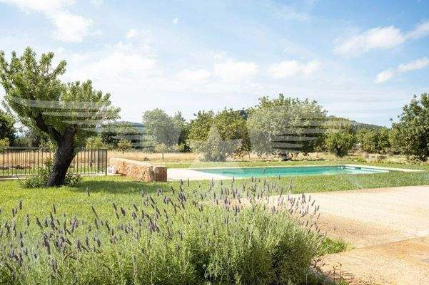 Garten mit Swimmingpool