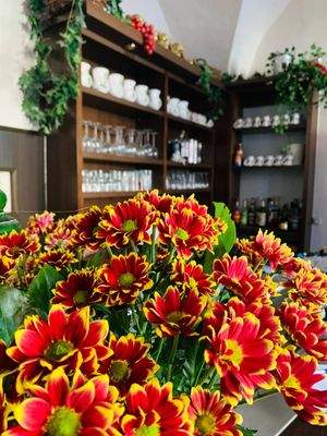 WhatsApp Image 2026-01-16 at 16.30.44.jpeg