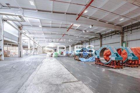 Rheine Halle, Rheine Hallenfläche