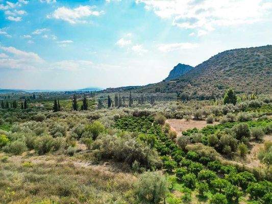 732577687073423bbde25fa9616110bd-original