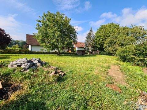 Hohenweiler Grundstücke, Hohenweiler Grundstück kaufen